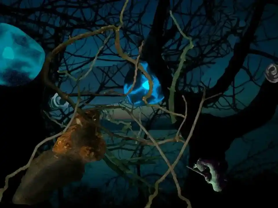 Forest 1