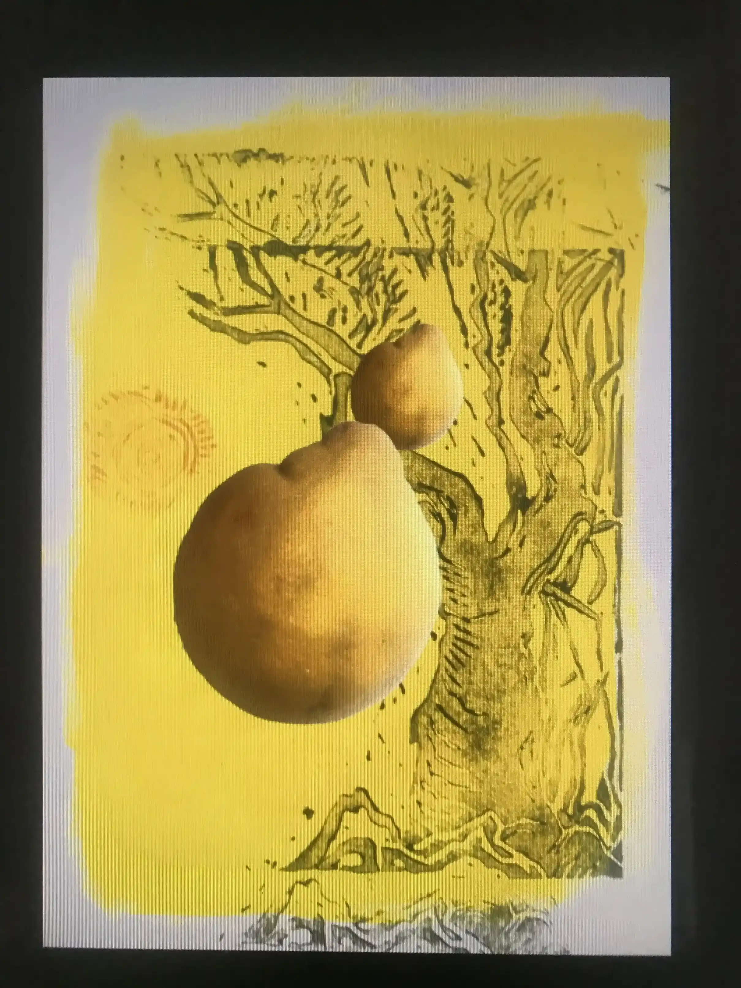 Lemon Tree