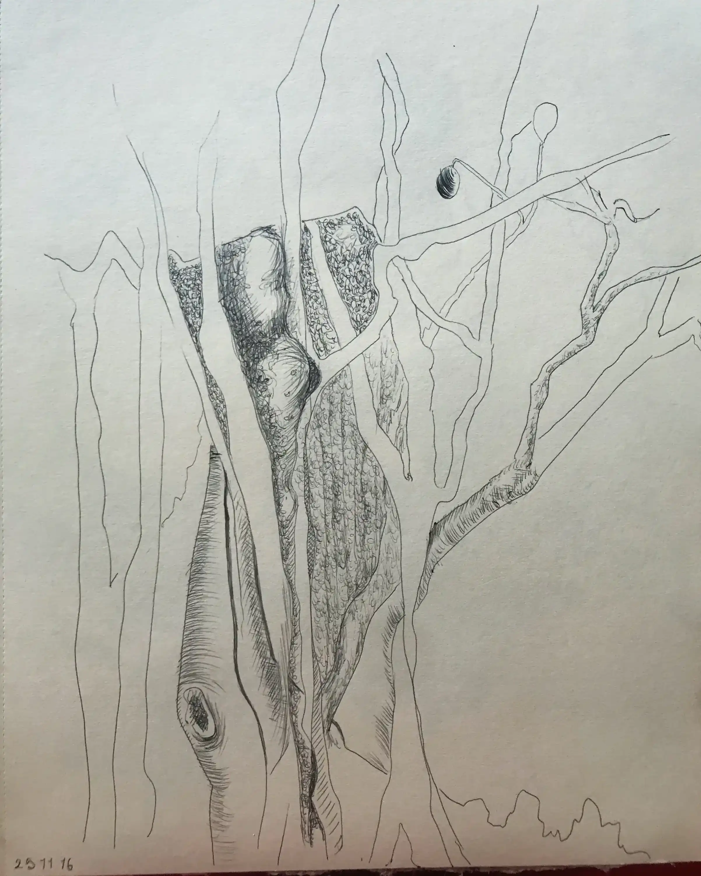 Untitled, November