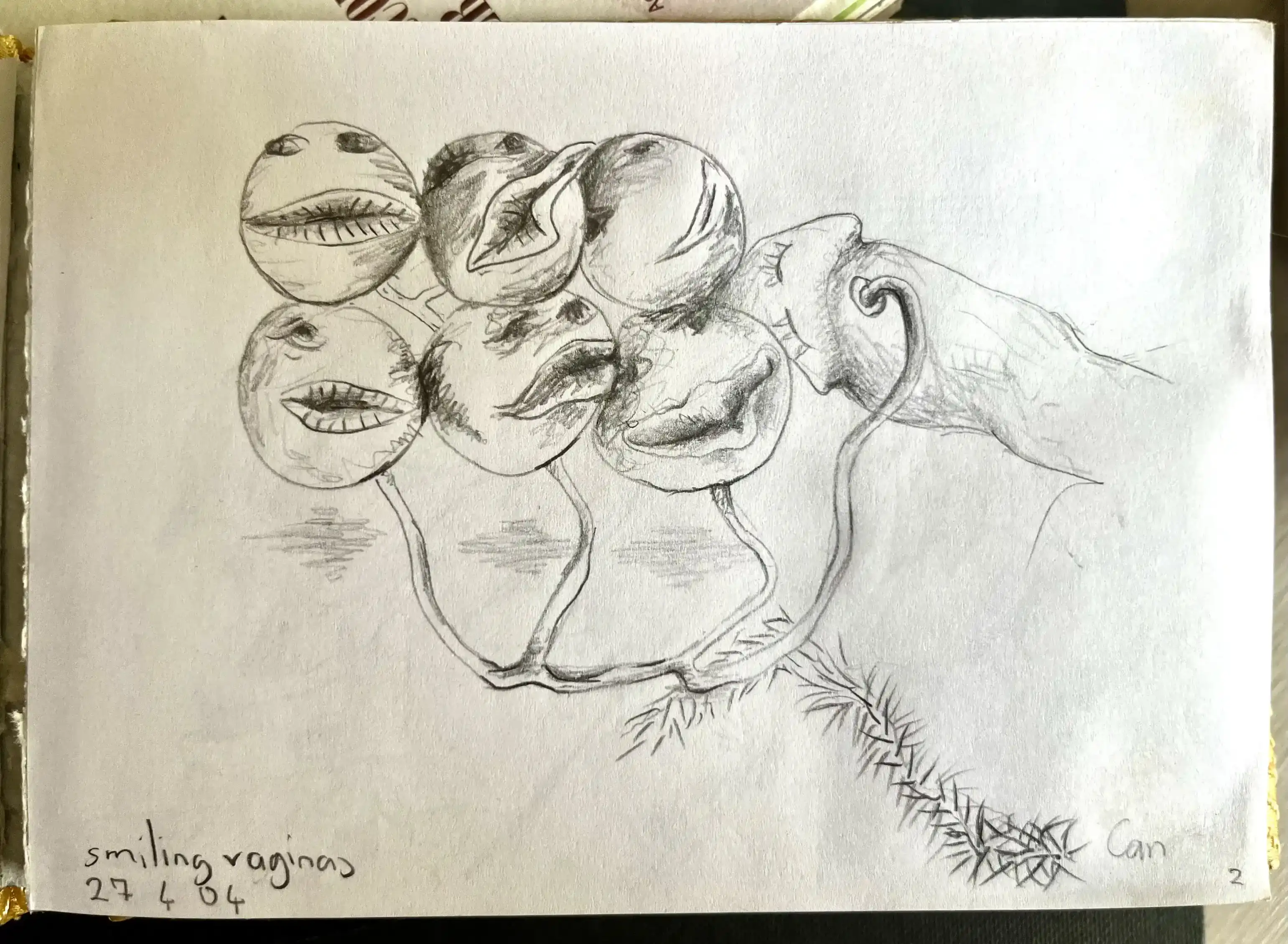 Smiling Vaginas