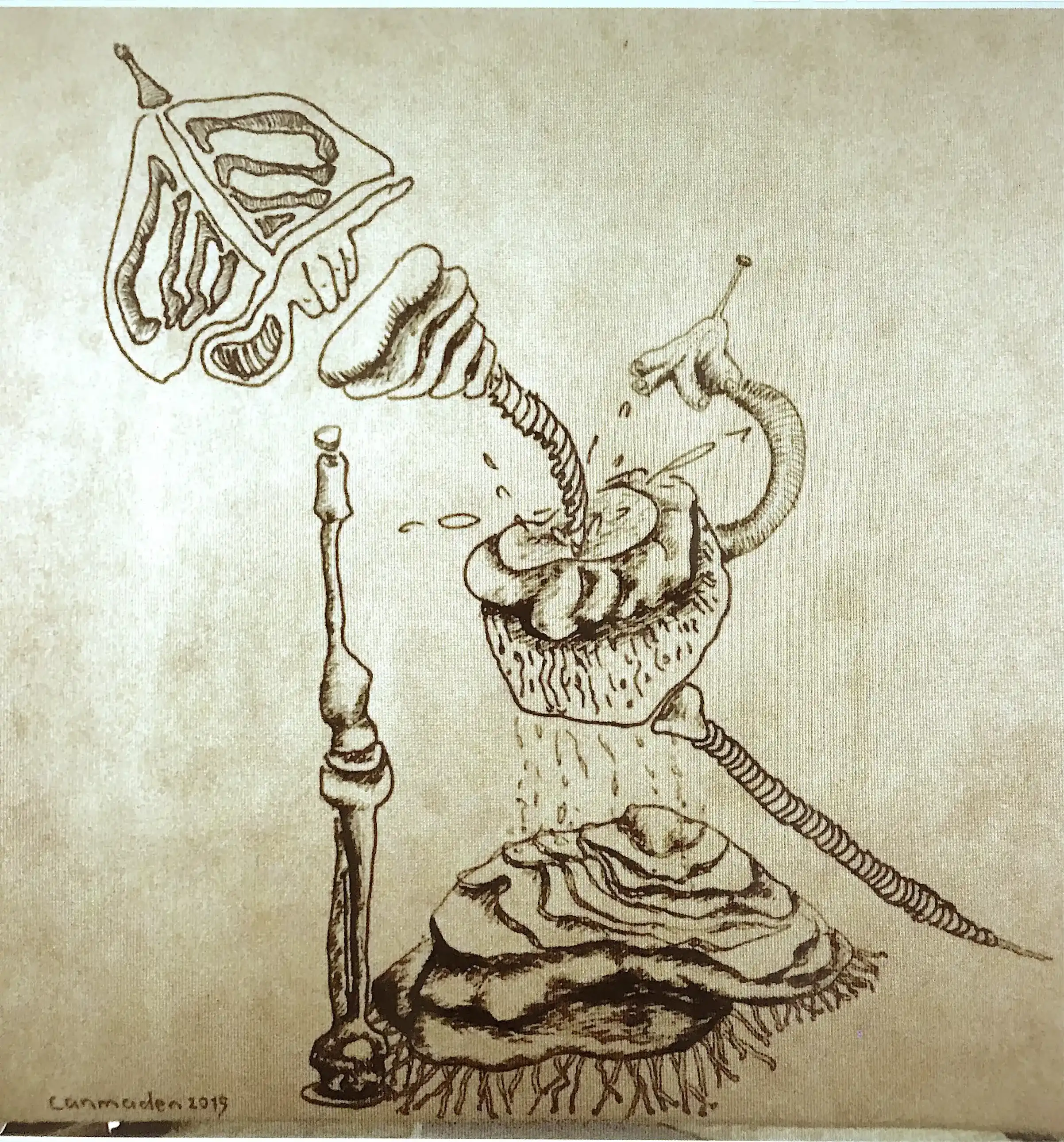 Anatomy, March