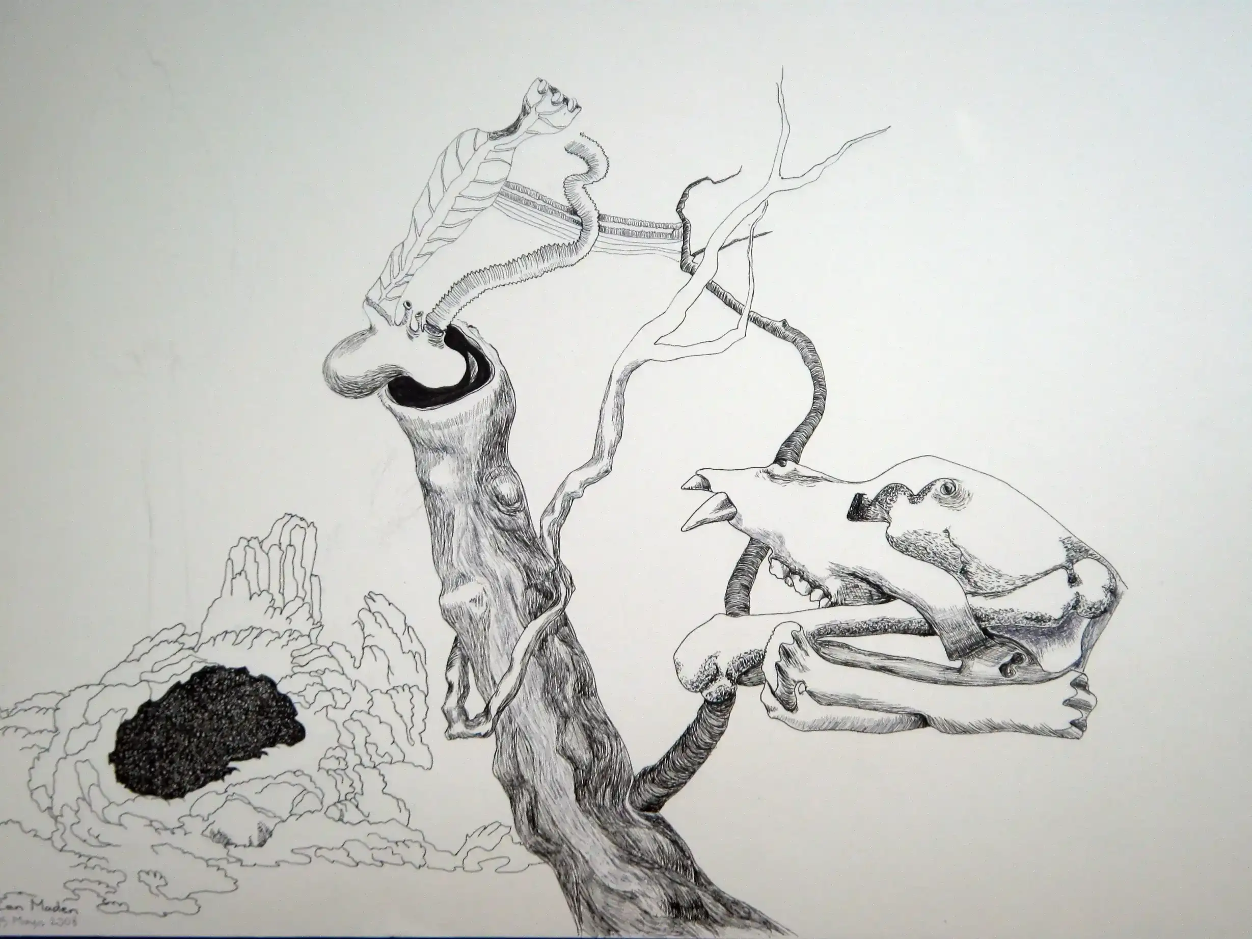 Anatomy, May