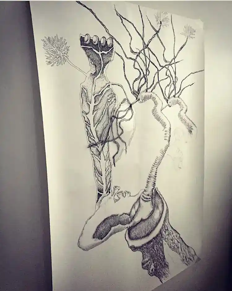 Anatomy