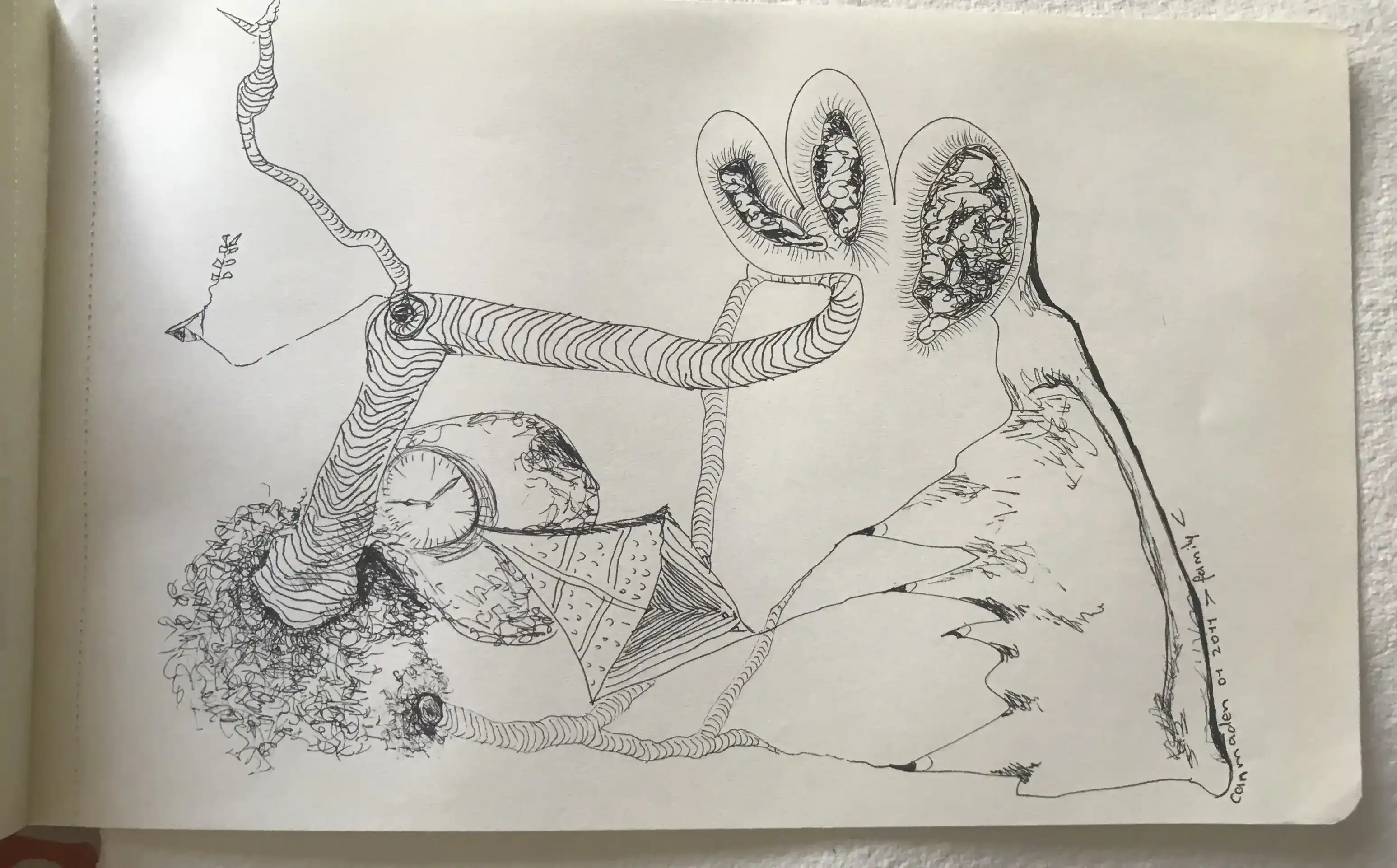 Family, 2011 (2)
