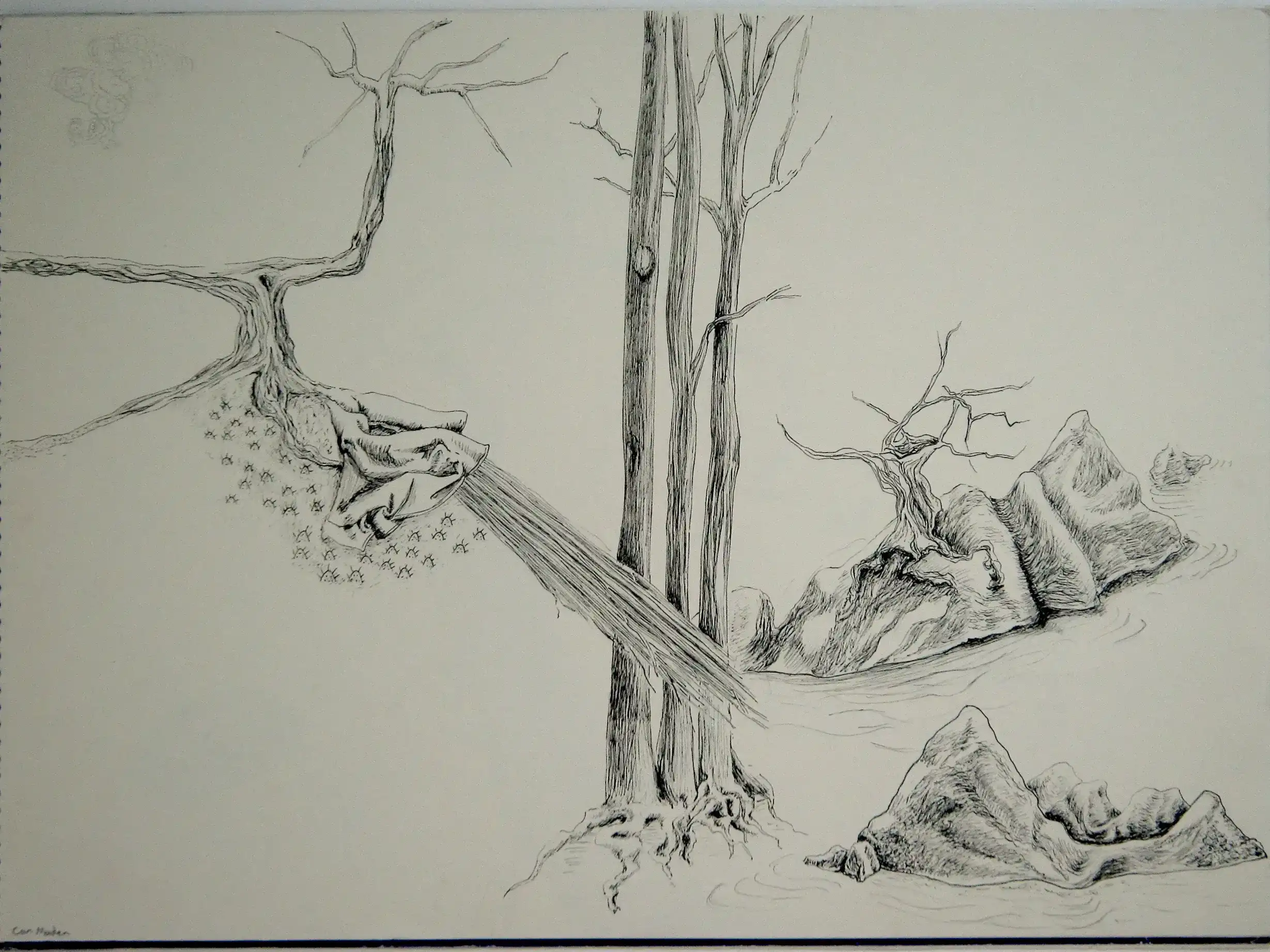Landscape