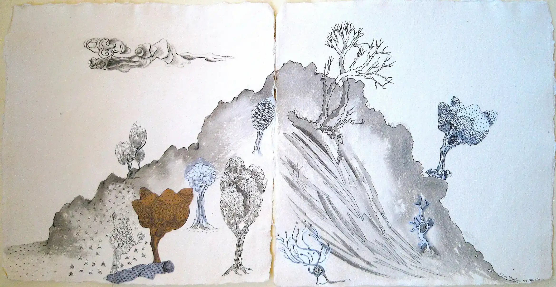 Landscape