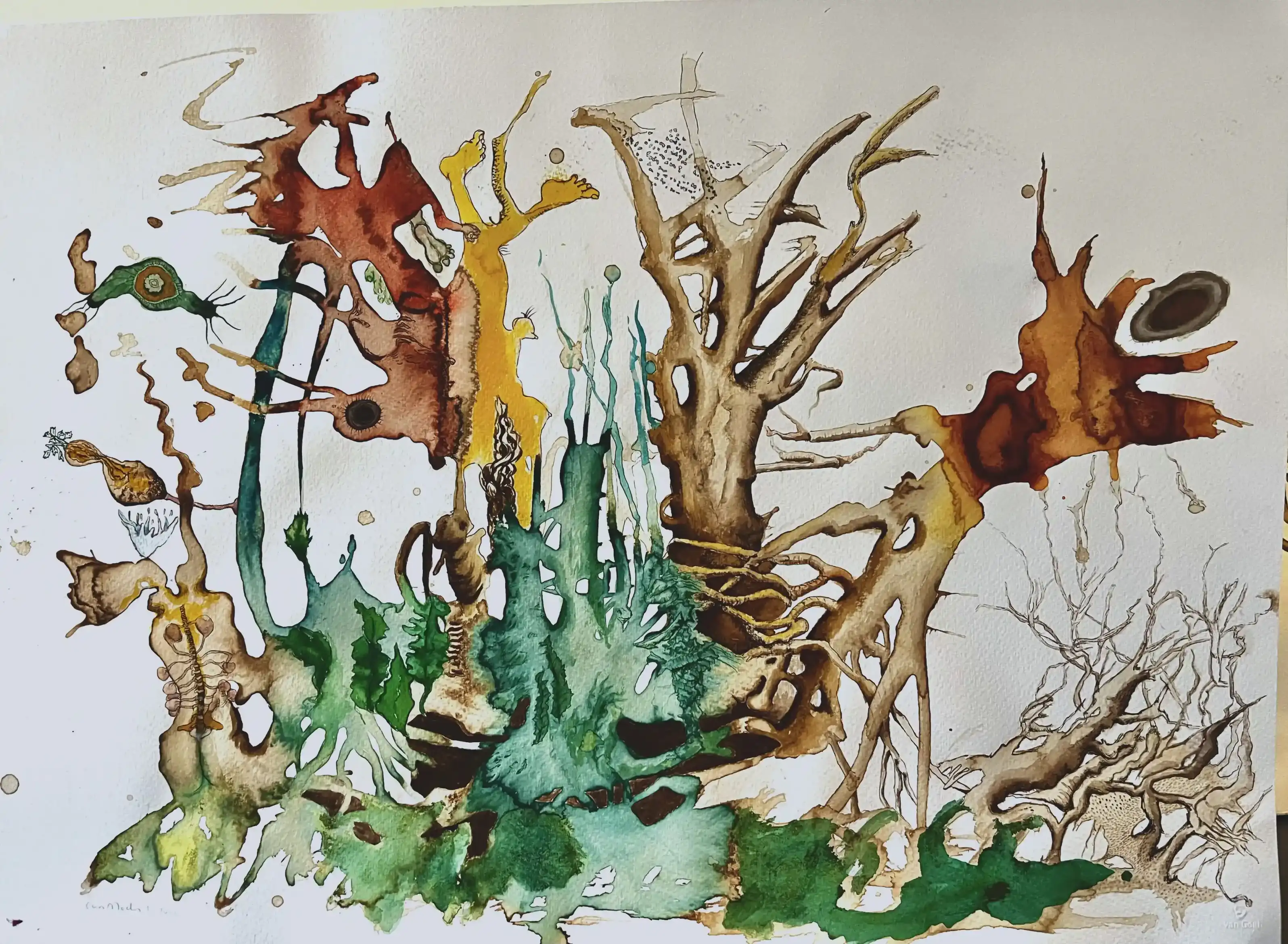 Forest