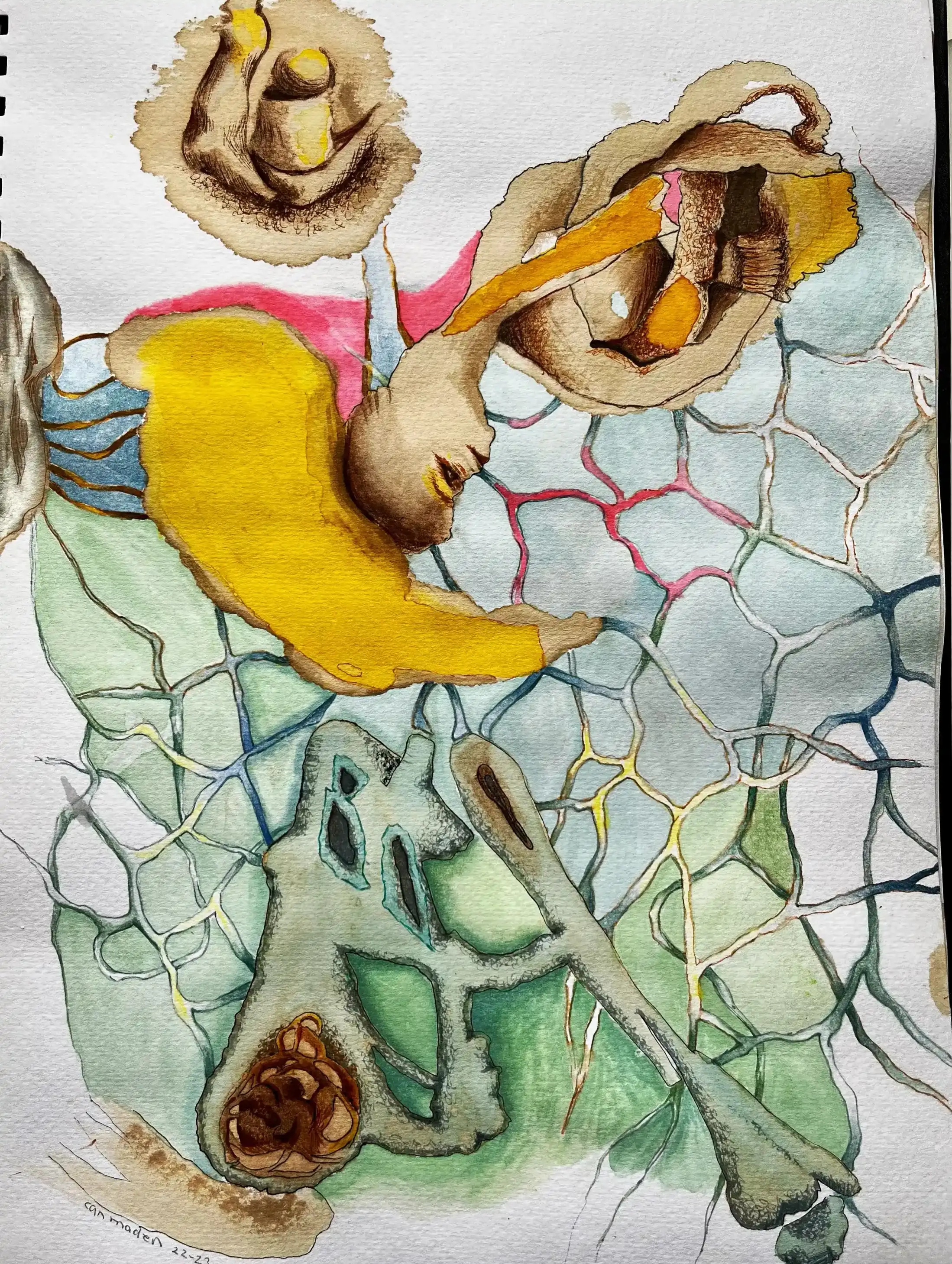 Womb